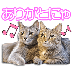 [LINEスタンプ] 小林家のなつ＆ゆずちゃん