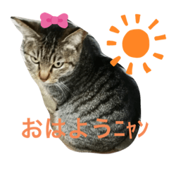 [LINEスタンプ] 三崎口猫の駅員