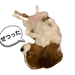 [LINEスタンプ] マンチェのスタンプ