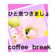 [LINEスタンプ] 花のスタンプ617