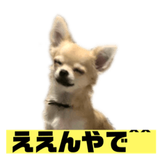 [LINEスタンプ] ゆにスタンプ宇宙編