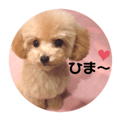 [LINEスタンプ] ぷてぃ♡1015