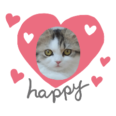 [LINEスタンプ] 美少女ねねちゃん