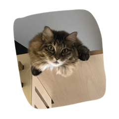 [LINEスタンプ] マルです