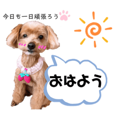 [LINEスタンプ] ゆずのスタンプ01012020