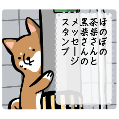 [LINEスタンプ] ほのぼの柴犬さんのメッセージスタンプの画像（メイン）