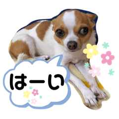 [LINEスタンプ] うちのちぃちゃん♡②