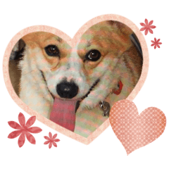 [LINEスタンプ] はなちゃんの大冒険