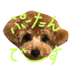 [LINEスタンプ] ぷーたんたちのすたんぷその1