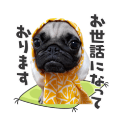 [LINEスタンプ] 愛犬パグのおこげスタンプ
