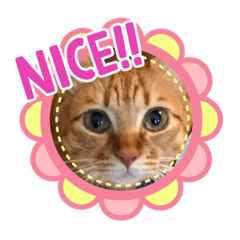 [LINEスタンプ] 我が家のアイドル〜3〜