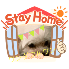 [LINEスタンプ] マリモコスタンプ4コロナに負けないぞ