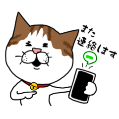 [LINEスタンプ] うちのねこです。チャカです。
