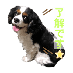 [LINEスタンプ] アロンジェ3