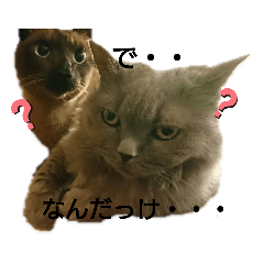 [LINEスタンプ] ルイとコーラ 2