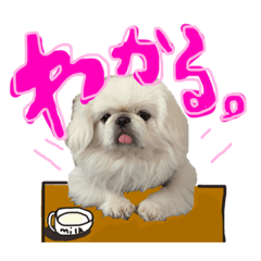 [LINEスタンプ] ちょこあぽ