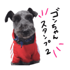 [LINEスタンプ] 黒シュナ ゴンちゃんスタンプ 2