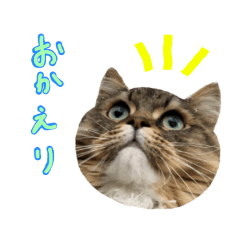 [LINEスタンプ] るーさんスタンプ1