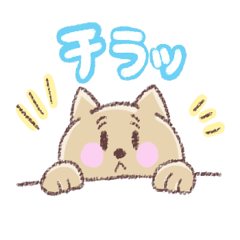 [LINEスタンプ] まゆげがあるネコさん