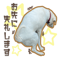 [LINEスタンプ] 愛犬ミルキーちゃん