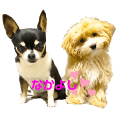 [LINEスタンプ] まるぷとすむちスタンプ2020
