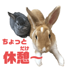 [LINEスタンプ] ハム＆クロ