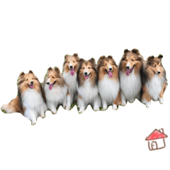 [LINEスタンプ] まいシェル