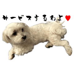 [LINEスタンプ] はるちょと一緒♡
