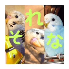 [LINEスタンプ] ダイヤとパール（2）