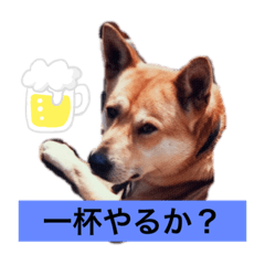 [LINEスタンプ] 金太とポチ