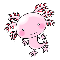 [LINEスタンプ] いやしのアホロートル