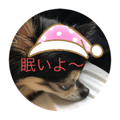 [LINEスタンプ] bibi12345