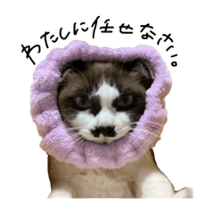 [LINEスタンプ] ミルクちゃん。①