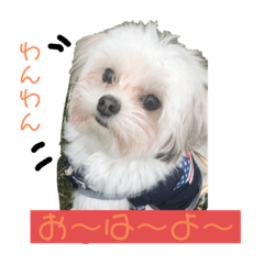 [LINEスタンプ] takuma'sすたんぷ