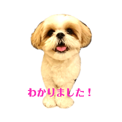 [LINEスタンプ] ふうただよ