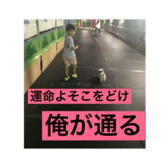 [LINEスタンプ] 福太'sスタンプ