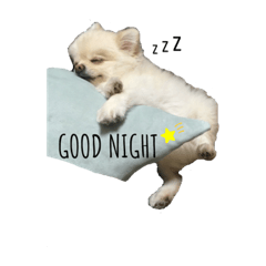 [LINEスタンプ] 田中家のミーボちゃん