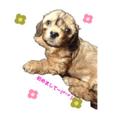 [LINEスタンプ] エルU´•ﻌ•`U