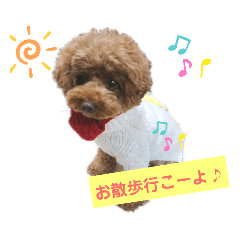 [LINEスタンプ] トイプードルのハッピー♡