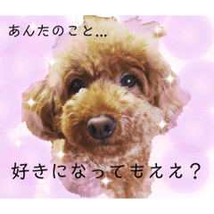[LINEスタンプ] 関西弁、ププちゃん。