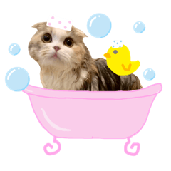 [LINEスタンプ] みるくの癒しスタンプ