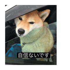 [LINEスタンプ] 長尾産業2
