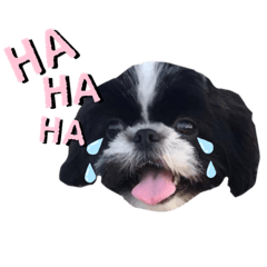 [LINEスタンプ] はるじくんスタンプ1