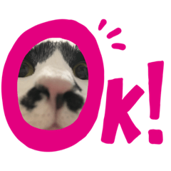 [LINEスタンプ] あちゃんあずきスタンプその1