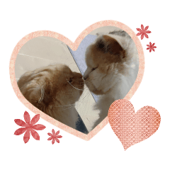 [LINEスタンプ] きなぼみ