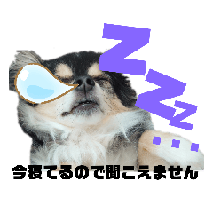 [LINEスタンプ] 毎日いちくん！