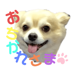 [LINEスタンプ] 今日のテツ②