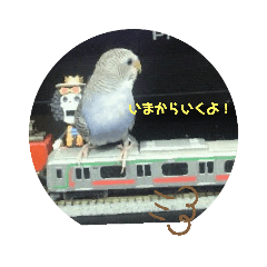 [LINEスタンプ] うちのペット族