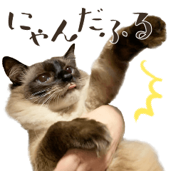 [LINEスタンプ] まろ猫のまろやかスタンプ