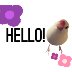 [LINEスタンプ] KIKI＆LALAのスタンプ